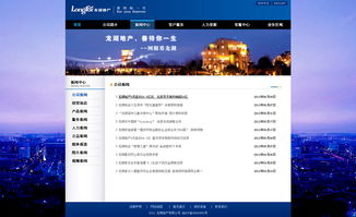 龙湖地产网页设计 品牌、体验与用户中心的融合